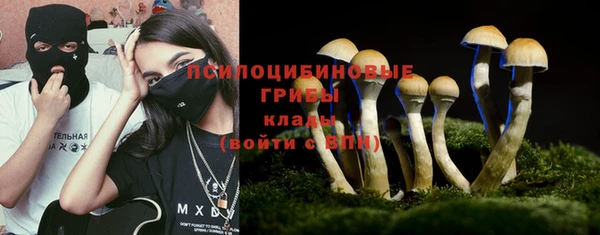 ECSTASY Богданович