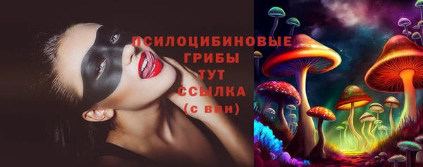 ECSTASY Богданович