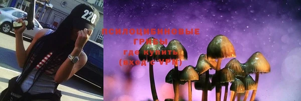 амф Богородицк