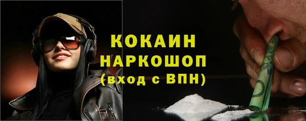 ECSTASY Богданович