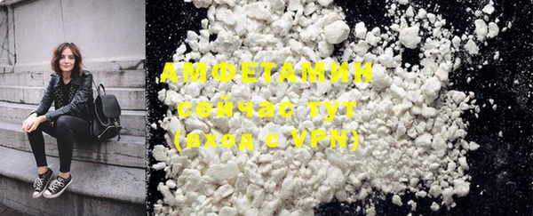 ECSTASY Богданович