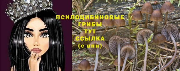 амф Богородицк