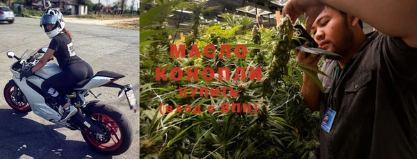 ECSTASY Богданович