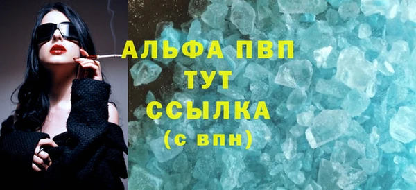 ECSTASY Богданович