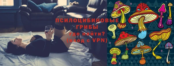 амф Богородицк