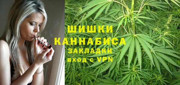 ECSTASY Богданович