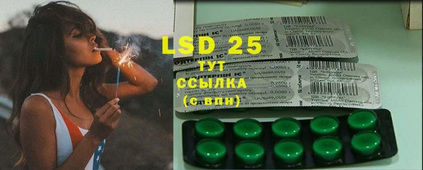 ECSTASY Богданович