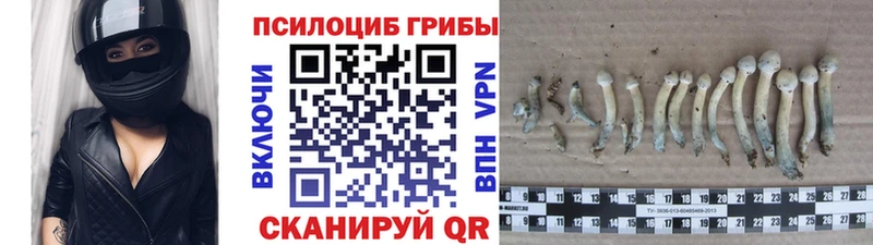 Галлюциногенные грибы Magic Shrooms  купить наркотики цена  Орск 